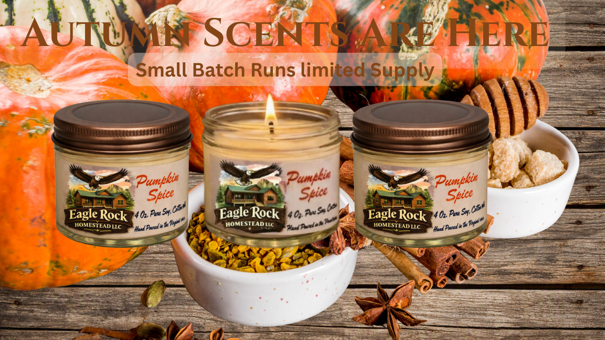 Pumpkin Spice – 4 oz Pure Soy Candle