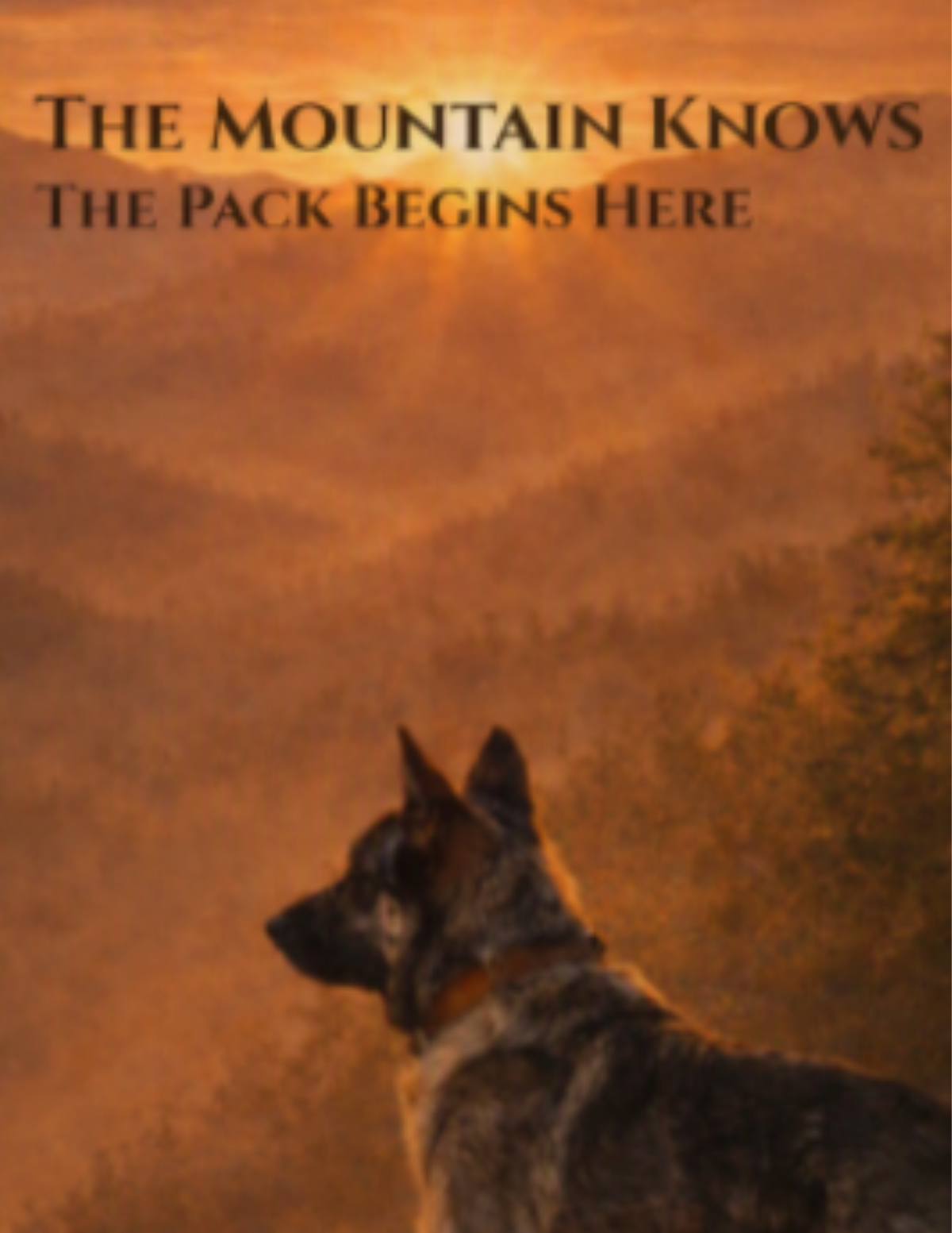 The Mountain Knows - The Pack Begins Here